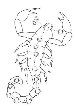 Adsız 3 - Vrishchikasana Scorpion (Akrep pozu)