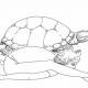 kurmasana tortoise kaplumbaga pozu 80x80 - Vrishchikasana Scorpion (Akrep pozu)