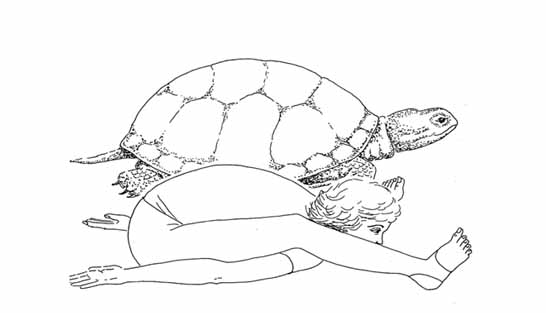 kurmasana tortoise kaplumbaga pozu - Kurmasana Tortoise (Kaplumbağa pozu)
