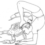 vrishchikasana scorpion akrep pozu 1 180x180 - Skolyoz için yoga