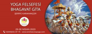13 gitaweb 300x113 - Yoga Felesefesi - Bhagavad Gita