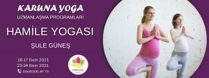 hamileweb 1 300x113 - Hamile Yogası Uzmanlaşma Programı