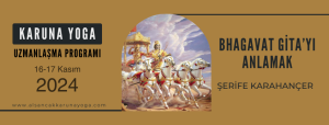 gita 300x114 - Bhagavat Gita’yı Anlamak