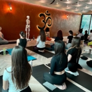 Temel Ayurveda Uzmanlaşma Programı-3.4 Modül 3 180x180 - Temel Ayurveda Uzmanlaşma Programı-3.4 Modül