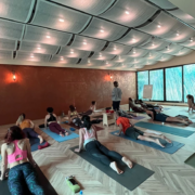 Temel Ayurveda Uzmanlaşma Programı-3.4 Modül 4 180x180 - Temel Ayurveda Uzmanlaşma Programı-3.4 Modül