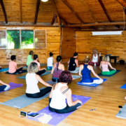 Temel Ayurveda Uzmanlaşma Programı-3.4 Modül 8 180x180 - Temel Ayurveda Uzmanlaşma Programı-3.4 Modül