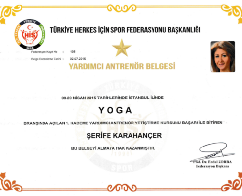antruner 495x400 - Yin Yoga Uzmanlaşma Programı