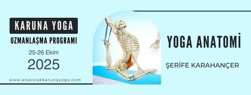 izmir karuna web 3 - Yoga Anatomi Uzmanlaşma Programı